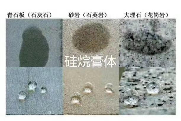 硅烷改性防水涂料(pic1)